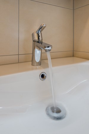 AAP 2026 ODNB 0213 024.jpeg